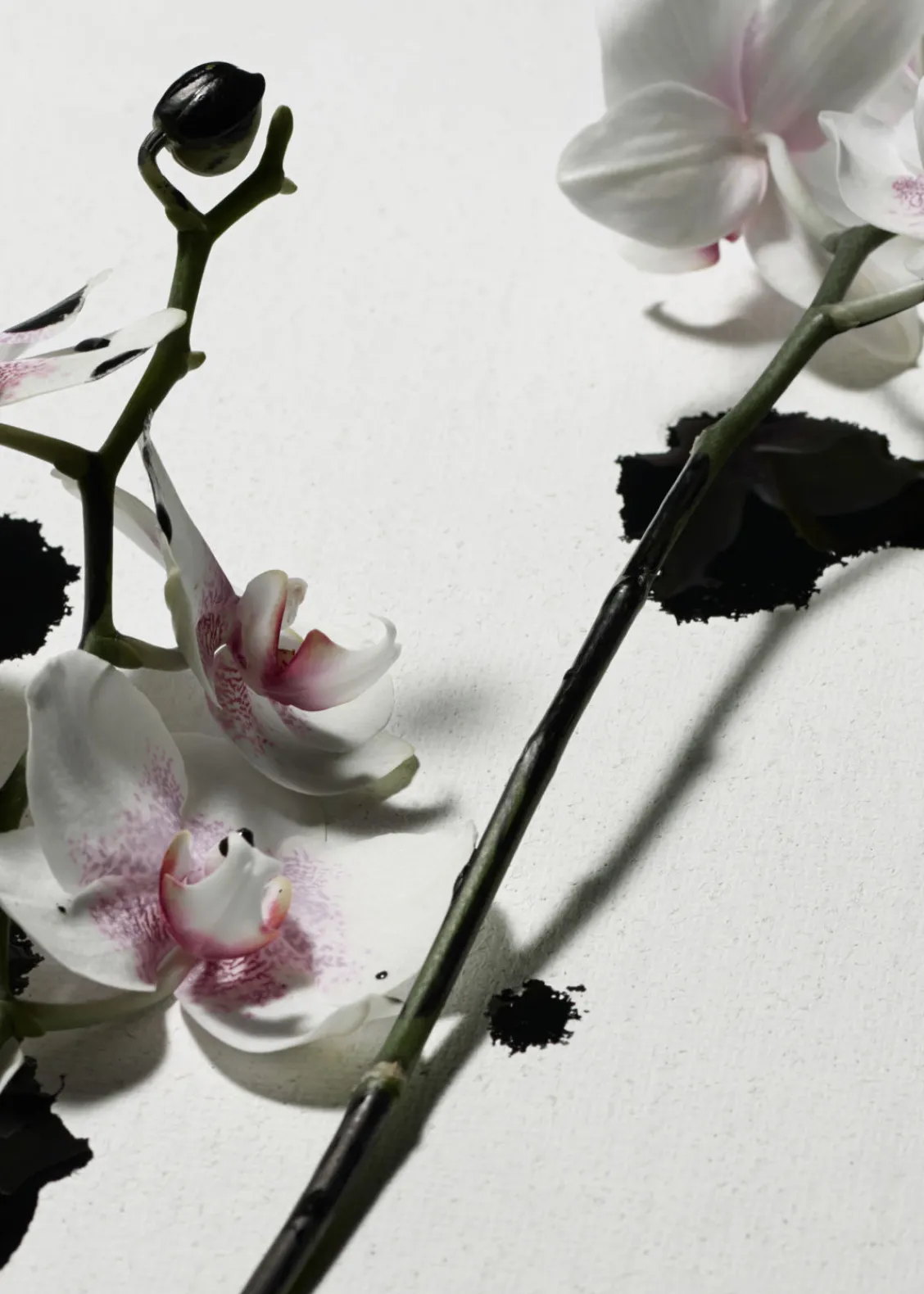 & Other Stories Fragrances | Sardonyx FIre Body Mist