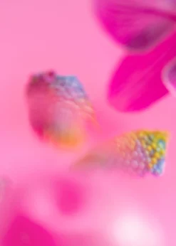 & Other Stories Fragrances | Sicilian Sunrise Eau De Toilette